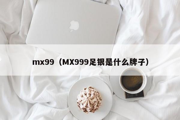 mx99（MX999足银是什么牌子）